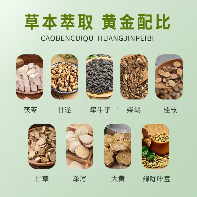 20 pastas de moxibustión para  - Health & Wellness Studio reseña y precio