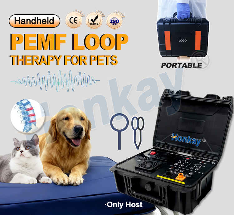 Dispositivo PEMF de cuidado pe - Therapy Health And Wellness reseña y precio